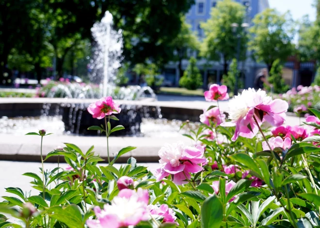 Сегодня воздух прогреется до +25 градусов