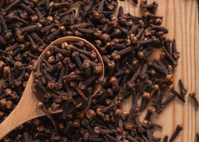 Kā cīnīties pret odiem? Rakstniece Maija Pohodņeva iesaka recepti pret asinssūcējiem