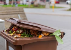Tārpu dzīres bioloģiskajos atkritumos; kā to komentē apsaimniekotāji?