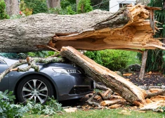 В Даугавпилсе автомобиль врезался в дерево: 5 пострадавших