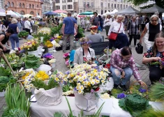 Накануне Лиго на Домской площади откроется традиционный Травяной базарчик