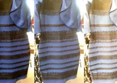 Создатель интернет-загадки про сине-черное платье получил срок за домашнее насилие