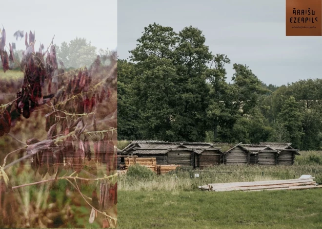 No 3D modeļu izveidošanas līdz graudu beršanai uz graudberža - muzeji piedāvā iepazīties ar arheologa profesiju