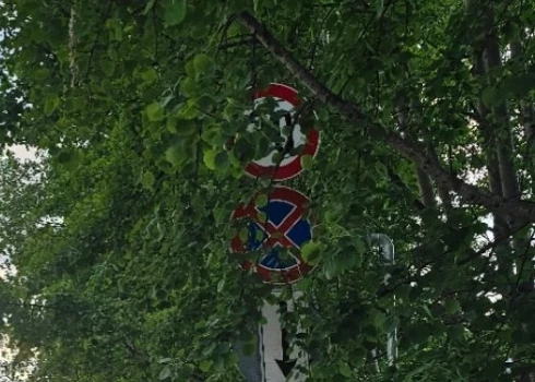 Абсурдная ситуация - дорожный знак закрыт деревьями, но Рижская дума ничего не может сделать