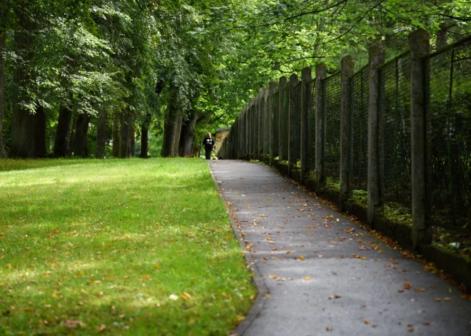 В четверг в Латвии будет мало осадков и умеренно прохладно