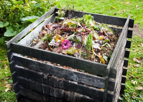 Eksperti skaidro: kāpēc bioloģisko atkritumu tvertnēs dzīvojas tārpi, bet komposta kaudzē - atkritumi bez tiem