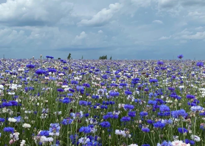 Piektdien gaidāms mākoņains laiks; gaiss iesils līdz +20 grādiem