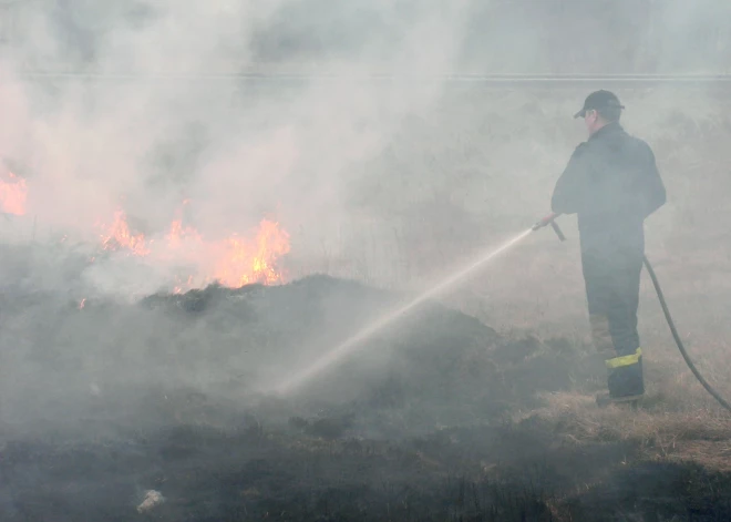 Rēzeknes novadā no degoša dzīvokļa izglābts cilvēks; suņi gājuši bojā