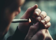 Nīderlande paplašina eksperimentu ar legāli audzētas marihuānas tirdzniecību