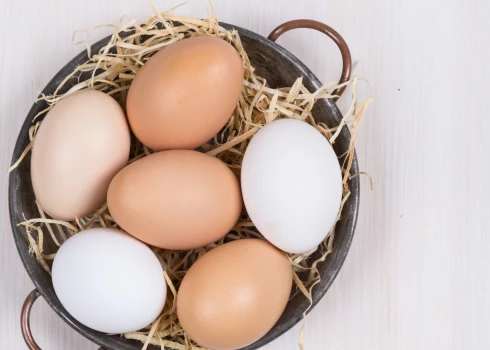 Есть ли разница между коричневыми или белыми яйцами - и в чем она?