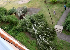 Vētras postījumi Daugavpilī: cietušās mājsaimniecības var saņemt pabalstu līdz 3000 eiro
