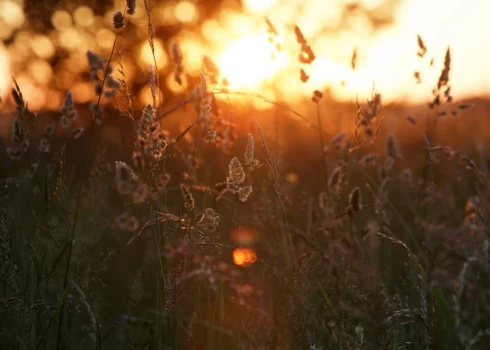 Иллюстративное фото.