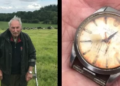 Pēc pusgadsimta britu zemnieks atgūst govs apēsto dārgo "Rolex" pulksteni