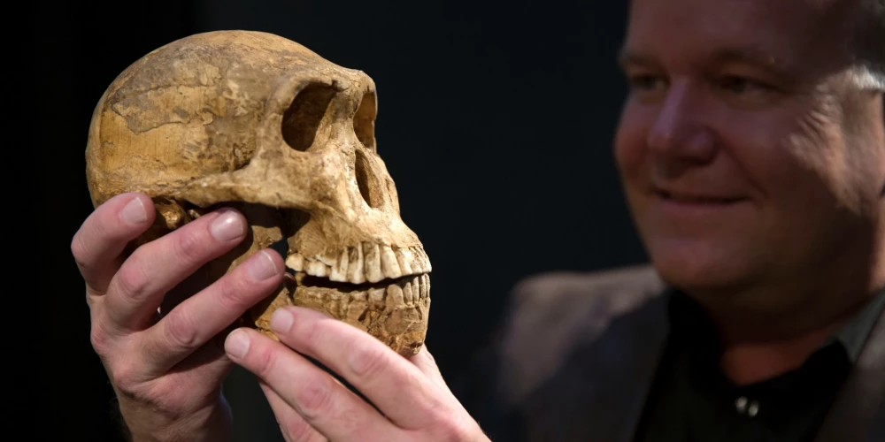 Profesors Lī Bergers ar Homo naledi galvaskausu. Tas vairāk atgādina pērtiķi, taču šai sugai bijušas cilvēciskas uzvedības iezīmes. 