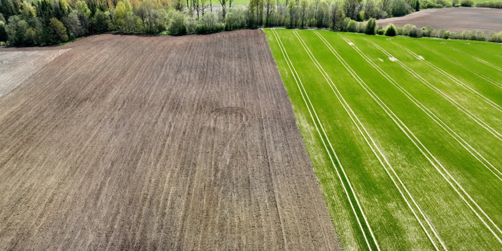 Ilustratīvs attēls.