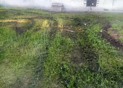 На красиво подстриженный газон это точно не тянет.