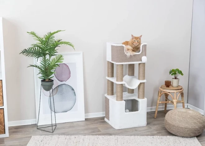 Pārsteidz savu mīluli ar kaķu māju: lieliski varianti ikviena budžetam