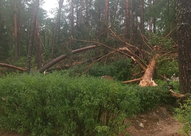 Vējš nolauzis desmitiem koku! Negaiss nodarījis plašus postījumus Meža kapos Cēsīs