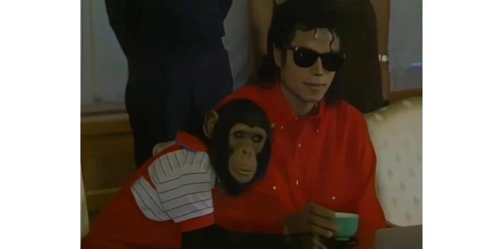 Maikla Džeksona šimpanzei jau 41 gads! Kā Bablss izskatās tagad?