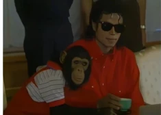 Maikla Džeksona šimpanzei jau 41 gads! Kā Bablss izskatās tagad?