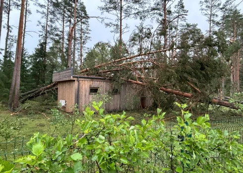 Cēsīs norit vētras postījumu likvidēšanas darbi; atcelti kapu svētki Meža kapos