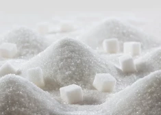 Zaržeckis: cukuram būtu jāuzliek vislielākais nodoklis
