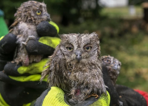 Balkānos pēc karstuma viļņa seko spēcīga vētra
