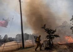 Kalifornijā savvaļas ugunsgrēku dēl evakuē 25 000 cilvēku