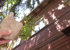 Жители одного из домов Риги боятся соседей: на одного напали с топором, другому в окна кидают камни