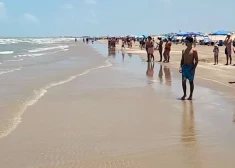 VIDEO: "Viņas stilbs bija pazudis!" Cilvēki šokā par pieredzēto Teksasas pludmalē [Brīdinām, nepatīkami skati!]