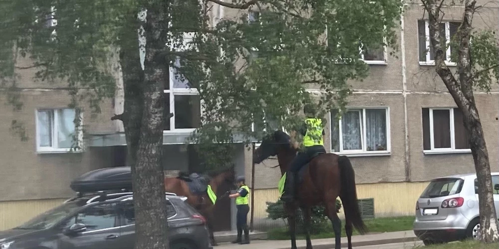 На фоне серых имантских многоэтажек лошади Госполиции смотрятся впечатляюще!