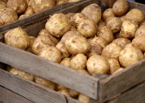 Kāpēc Latvijas kartupeļi ir dārgākie Baltijas valstīs?