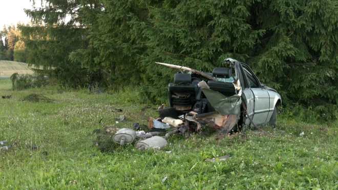 Кадр с места событий.