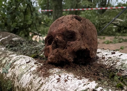 Возле Бауского замка обнаружено несколько черепов и костей.