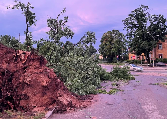 Bauskas novadā konstatēti vētras postījumi vismaz 150 hektāru platībā