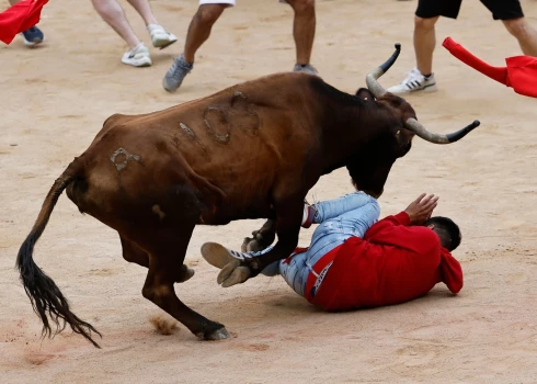 В Испании 7 человек госпитализировали после традиционного забега с быками