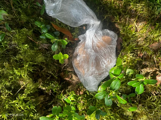 Kopumā atsavināts teju pus kilograms jeb 450 grami kokaīna.