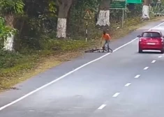 VIDEO: velosipēdistam Indijā uz ceļa uzbrūk satrakojies leopards