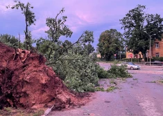 В Баускском крае подсчитали ущерб от прошедшей в июле бури