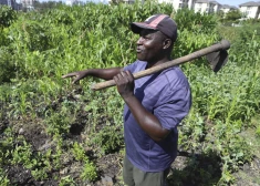 Āfrikā krītas ražas, un zemnieki vaino minerālmēslus