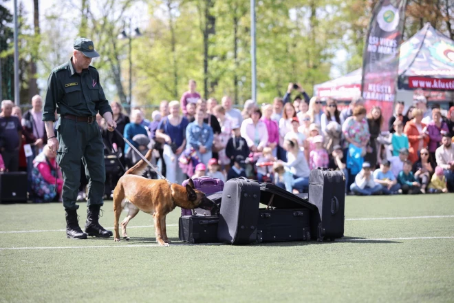Valsts robežsardzes koledžā Edvīns Mičuļs un Bris māca, kā meklēt sprāgstvielas.