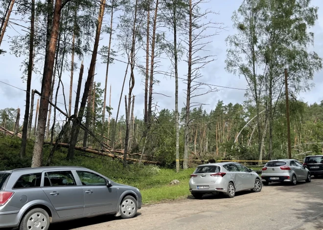 Автоводители сегодня могут пользоваться общественным транспортом Риги бесплатно