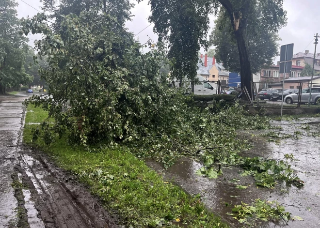 Vētras nogāzts koks Olgas ielā Āgenskalnā.