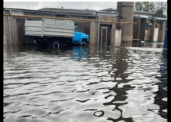 "Dzīvnieki ir ūdenī!" Jelgavas patversme izmisumā lūdz cilvēku palīdzību