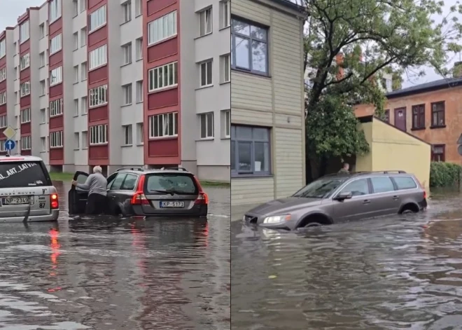 В Елгаве затопило приют для животных; из домов эвакуированы 7 человек