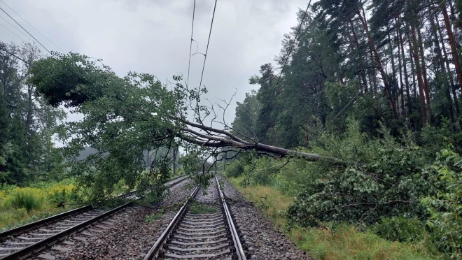 “Latvijas dzelzceļš” informē -  spēcīgās vētras un lietavu radītie postījumi radījuši ievērojamus postījumus.