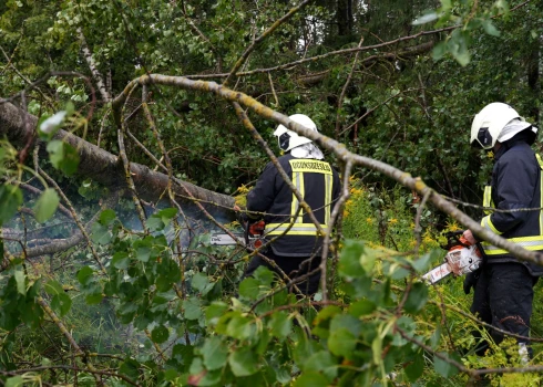 Vētras un ekstremālu lietavu ietekmē Latvijā reģistrēti elektrotīkla bojājumi.