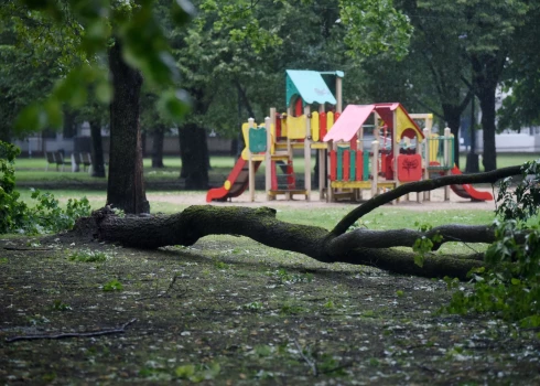 Stiprā lietus un vētras postījumi Kronvalda parkā.