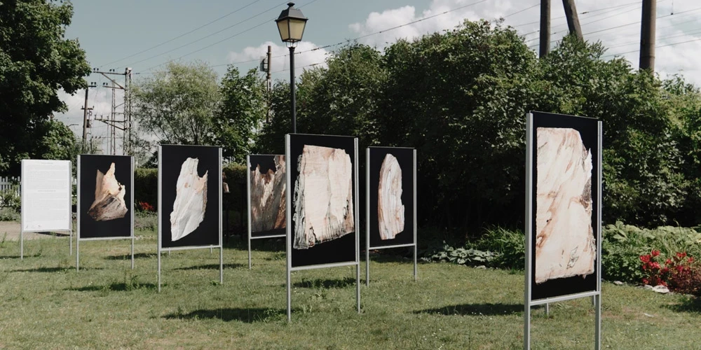 Aspazijas mājā Dubultos ir apskatāma izstāde "Sacirstās kastaņas stāsts". 