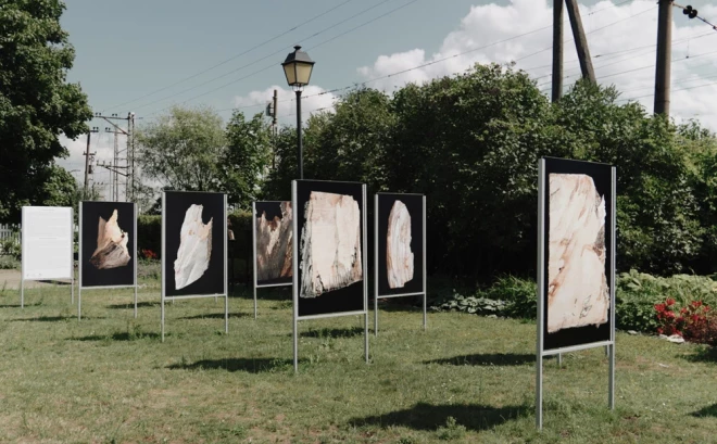 Aspazijas mājā Dubultos ir apskatāma izstāde "Sacirstās kastaņas stāsts".